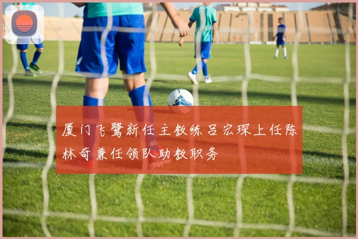 厦门飞鹭新任主教练吕宏琛上任陈林奇兼任领队助教职务