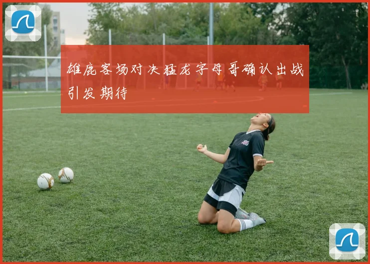 雄鹿客场对决猛龙字母哥确认出战引发期待
