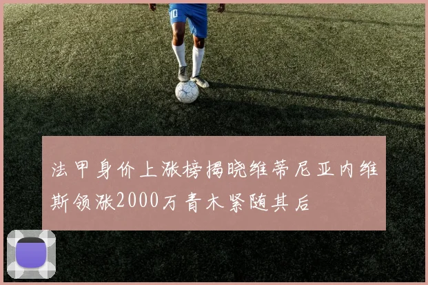 法甲身价上涨榜揭晓维蒂尼亚内维斯领涨2000万青木紧随其后